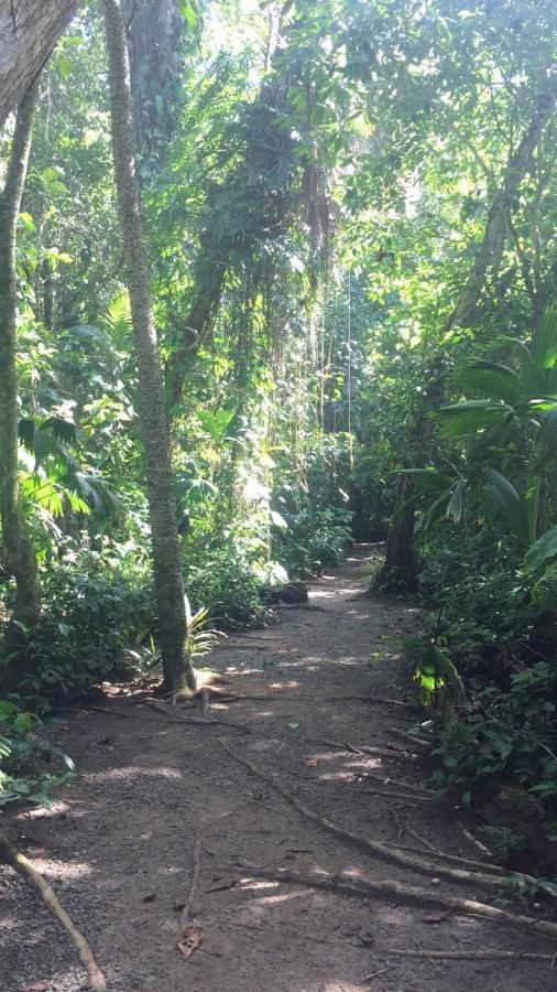 Hotel Cahuita Kültér fotó