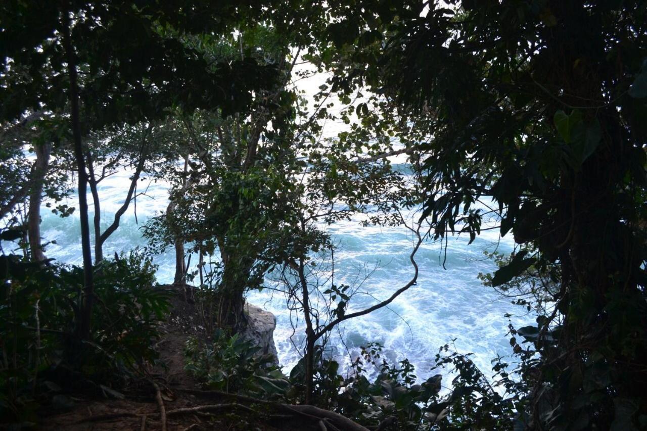 Hotel Cahuita Kültér fotó