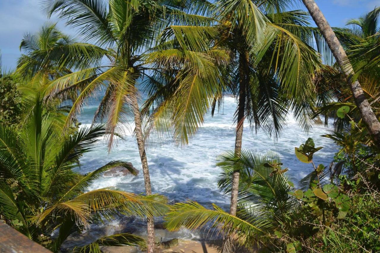 Hotel Cahuita Kültér fotó